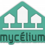mycelium.png
